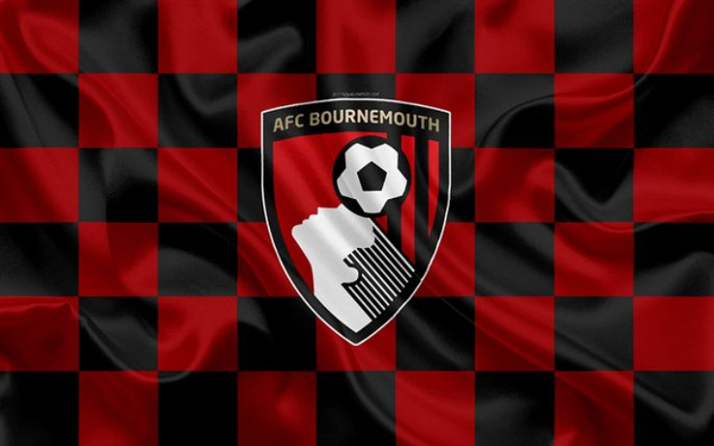 AFC Bournemouth FC: The Next Premier League Sensation?