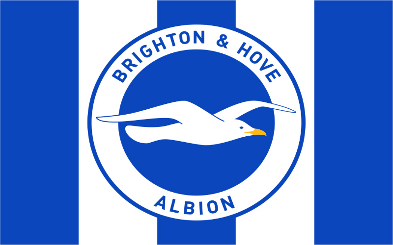 Brighton Hove Albion FC: The Thrilling Underdogs of the Premier League